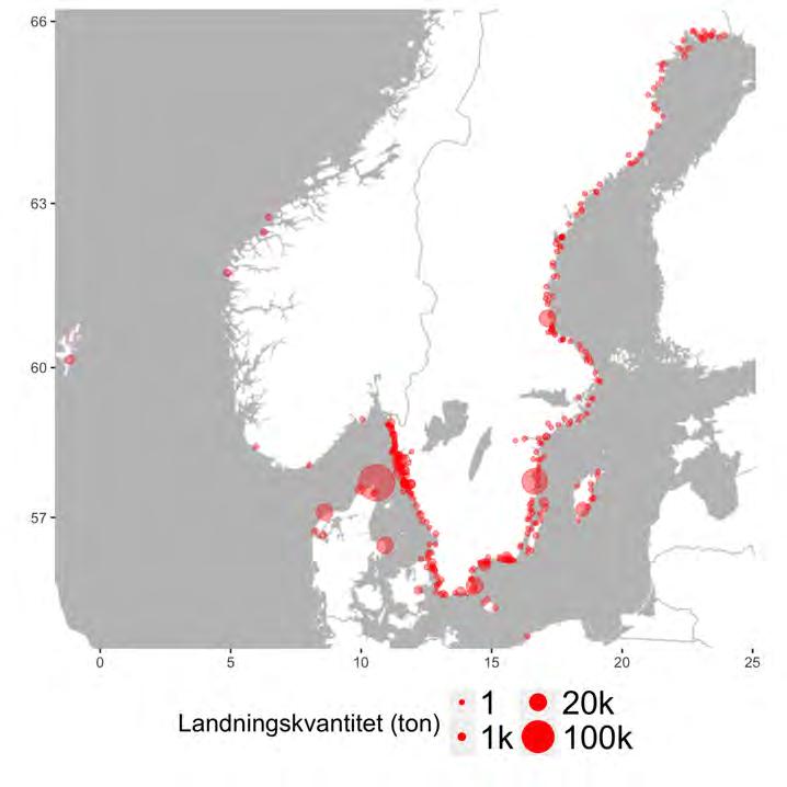Figur 3.1. Genomsnittliga svenska landningar per landningshamn (data för 2009-2014).