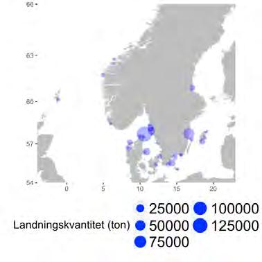 1. Utbredning av fiskeplatser (rapporterade landningar) och landningshamnar för fisket med