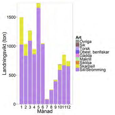 för fisket inom det pelagiska systemet. Tobisfisket har sedan en tydlig period i april-juni medan makrillfisket huvudsakligen äger rum i september. På liknande sätt åskådliggör figur 2.1.