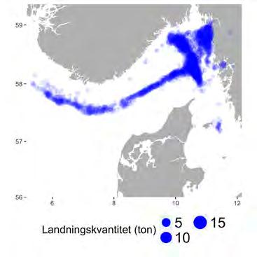 Aqua reports 2018:3 Landningarna från fisket äger framför allt rum i hamnar på svenska västkusten men också i Danmark.