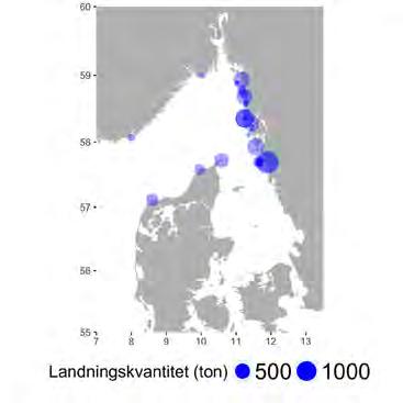 b). Figur 2.2.1. Utbredning av a) fiskeplatser (rapporterade landningar) och b) landningshamnar för räkfisket 2015.
