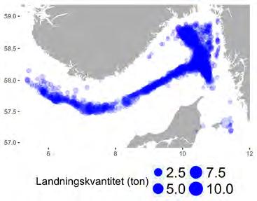 tunnel. Reglering Räkfisket regleras till största delen av olika EU-regler inom den gemensamma fiskeripolitiken (1380/2013).