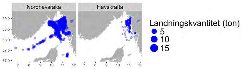 Aqua reports 2018:3 Figur 2.2.15. Räkfiske med trålar med rist (fram till 1 feb 2013) och trålar med rist utan tunnel i Skagerrak, Kattegatt och Nordsjön.