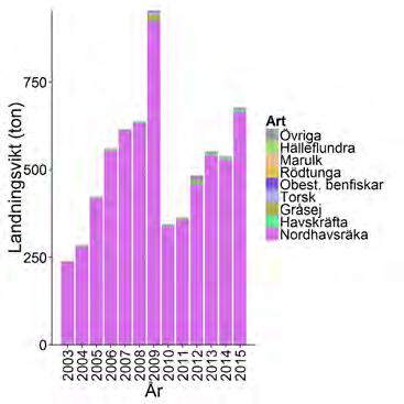 fångsterna i fisket succesivt ökat igen. Jämförs perioden 2013-2015 med perioden 2003-2005 har den totala landningsvikten ökat med drygt 80 procent.