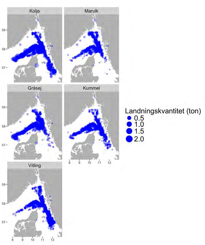 Figur 2.3.12. Utbredning av fiskeplatser (rapporterade landningar) för de nio ekonomiskt mest betydelsefulla arterna i bottentrålfisket efter havskräfta och fisk utan rist i Skagerrak och Kattegatt.