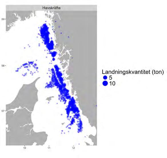 Figur 2.3.16. Utbredning av fiskeplatser (rapporterade landningar) för den ekonomiskt mest betydelsefulla arten i bottentrålfisket efter havskräfta med rist i Skagerrak och Kattegatt.