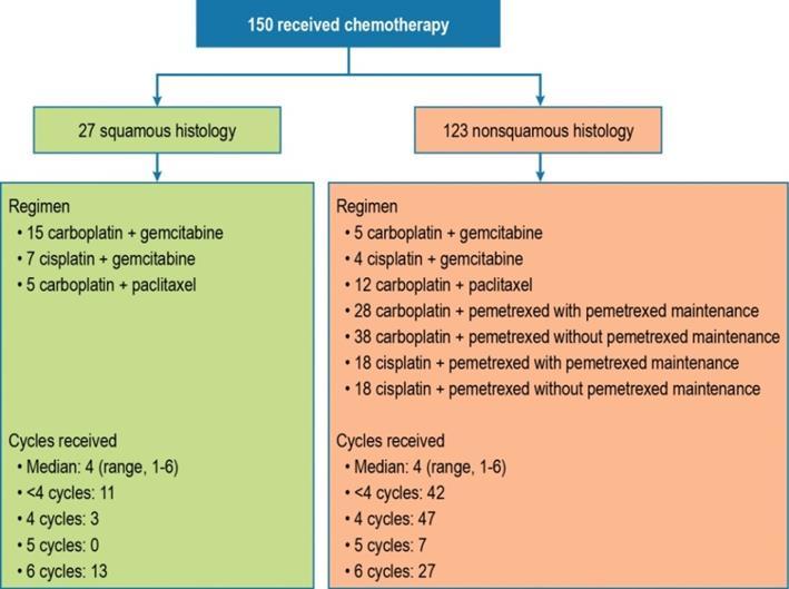 trudagruppen. Tabellen nedan visar olika terapier inom kemoterapigruppen. Patienter stratifierades enligt ECOG performance status (0 vs. 1), histologi (Skivepitelcancer vs.