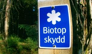 Bild 1. Biotopskydd är områden, skyddade för all framtid, vilka lämpar sig mycket bra för att bevara genetiska resurser av många inhemska trädslag.