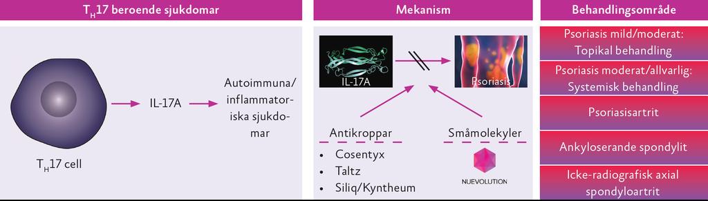 Nuevolutions cytokin X -program aka interleukin IL-17A (inflammation) Nuevolution offentliggör härmed identiteten av sitt cytokin X-mål till att vara IL-17A.