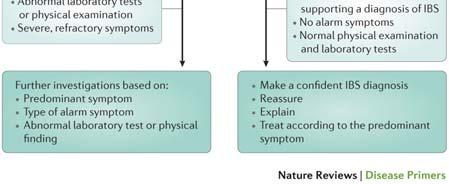Diagnostisk algoritm