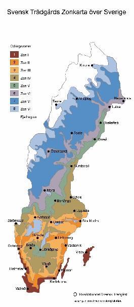 Publicering av kartan har generat vissa inkomster under året. En del tid läggs på att spåra Zonkartor publicerade utan tillstånd och falska Zonkartor.