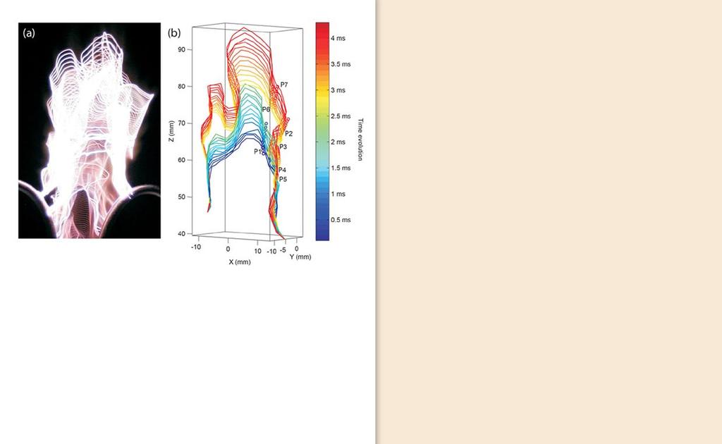 katalys och plasma 425 De stora satsningar som gjorts inom laserdiagnostik i förbränning har gjort det möjligt att med stor framgång även träda in i andra fält.