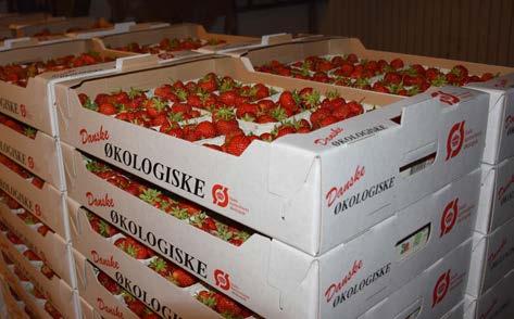 Tabell 5. Gödslingsförslag för jordgubbar på nyligen omlagd mark. Förslaget innehåller en grundgödsling innan plantering och några alternativ till kompletteringsgödsling under skördeåren.