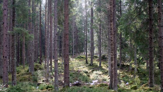 Men så lagom till lägret fick äntligen sol & värme... Vi samlades på Skärtorsdagen, efter inkvartering och uppställning av husvagnar vid Herrljunga BK startade vi lägret med varm punsch och ärtsoppa.