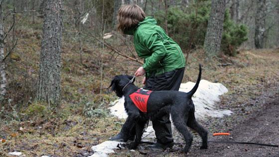 Gittan och Kokos klara