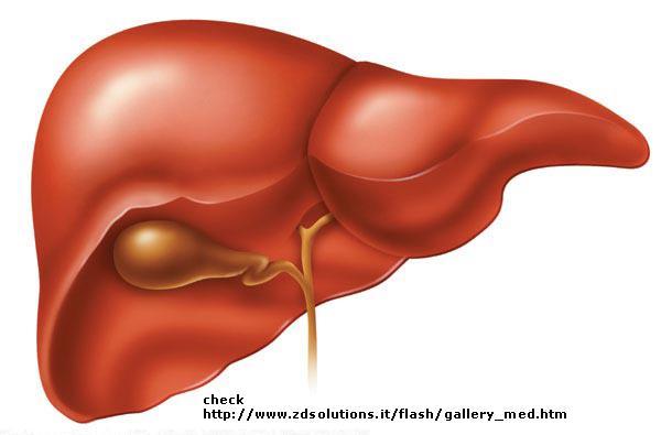 Eliminering av läkemedel Lever Huvudsakligen metabolism Individuell