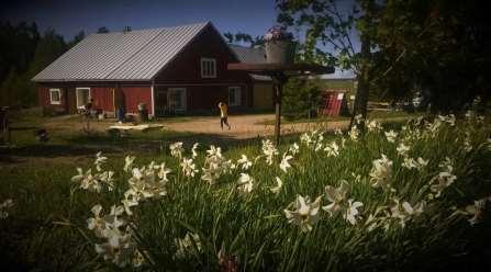 9 4. Rekreation Från och med år 2018 stavgångspromenad med start från Ilona varje torsdag kl. 16.30. Välkommen med! Stavar finns att låna från Ilona. För mera information ring Hilkka tel. 0400-432885.