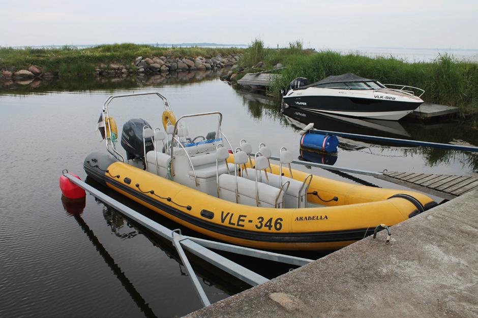 18 idülli nautisid koos meiega mitusada taeva all käratsevat randtiiru ja nende pojad, kes vudisid mööda halle paeklibuvalle. Maskeerumisvärvid olid ideaalsed.