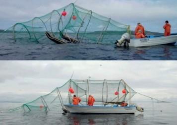 fisk. De alternativa fiskeredskap som används brett i norra delarna av Östersjön är följande: ponton fällor och torsk krukor. En annan lösning är modifiering av existerande traditionella fiskeredskap.