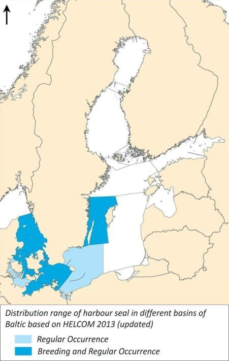 De lever oftast på grunt vatten vid stränder och klippor. I vattnet kan man se enstaka individer eller mindre grupper. På land kan de skapa större grupper.