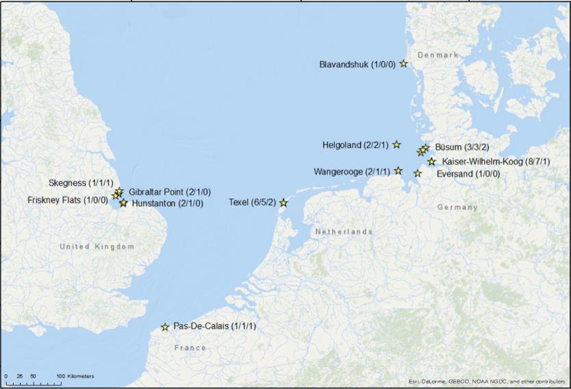 c Mysteriespelet 30 Kaskeloter strandar på kort tid 07 I januari och februari 2016 så strandar 30 kaskeloter på kusterna i Nordsjön i Danmark,