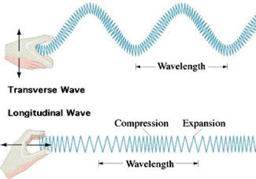 Ljud i havet och dess påverkan Akustik är i den del av fysiken som behandlar ljud och ljudvågor. Det hänvisar ofta till ljudproduktion, spridning och reception.