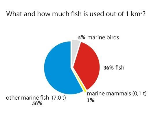 Marina däggdjur och dess interaktioner med fiskeriet För att bedöma rollen av marina däggdjur i haven måste vi veta hur de påverkar och påverkas av det mänskliga fisket.