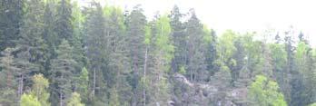Växtgeografi Växtgeografisk tillhör Bollebygds kommun den boreonemorala zonen.