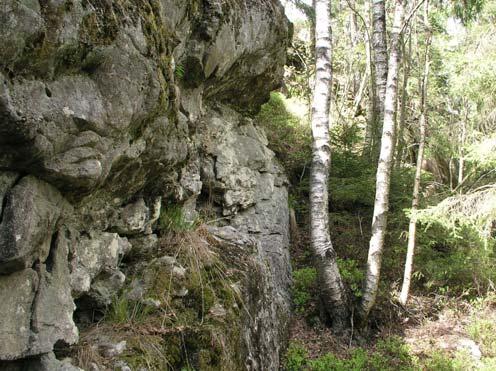 110 Älgåsen Barrsumpskog (0,6 ha) Barrsumpskog intill skogsbäck. Området är ej besökt och klassningen grundar sig på nyckelbiotopsinventeringen.