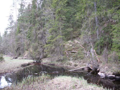 8 Högåsen Aspskog (3,5 ha) I de branta partierna från gårdarna Högåsen och Spjuthult ned mot den lilla sjön Isatjärn finns numera igenväxta små åkerlappar och slåtterängar.