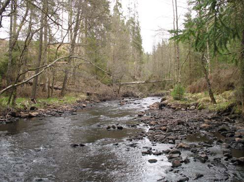 23 Storebacken Hagmarksskog och sluttande mosse (93 ha) Sluttande mosse som ligger på gränsen till Borås Stad. Intill Storebacken finns en hagmarksskog.