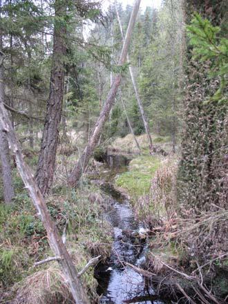 28a Sjögaredsbergen Hög sydvänd bergbrant Vid Töllsjöns norra strand finns en ca 1 km lång och mycket hög bergbrant. Vid Töllsjön finns höga lodytor som används av bergsklättrare.