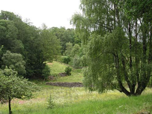30 Töllsjön Näringsfattig sjö En näringsfattig skogssjö med areal på 120 ha och ett största djup på 18 m. Stränderna i norr är långgrunda och består av sten och sand med bladvass och säv i vikarna.