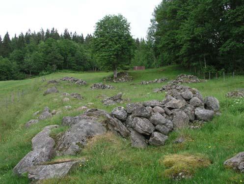 31b och c Holmared Betesmark (0,4 och 0,9 ha) En betesmark där det ligger rikligt med odlingsrösen och stenblock. Området ligger i en sluttning och varierar från torr till fuktig mark.