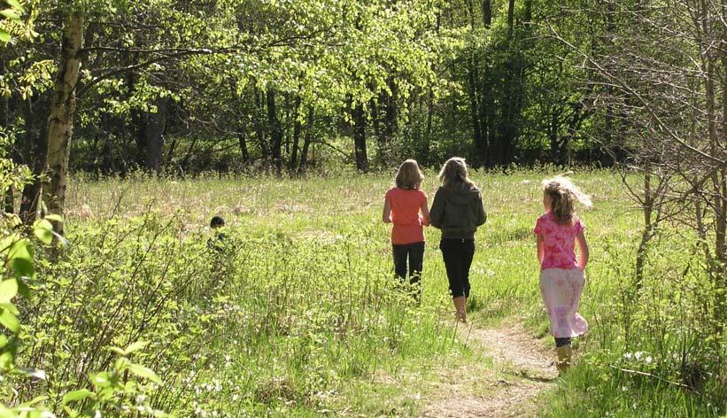 Inledning Detta är en sammanställning av samtliga kända naturområden med höga naturvärden i Bollebygds kommun. Totalt redovisas ca 220 områden varav 125 besökts under 2005-2007.