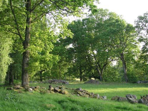 40 Skog vid Långesjön Barrblandskog (11 ha) Området består av en barrblandskog i en sydostvänd sluttning mot Långesjön. Naturvårdsavtal finns för området.