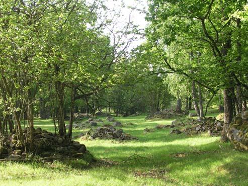 44a Tubbared Ålderdomligt odlingslandskap (12 ha) Västerut om Tubbareds gård ligger en fårbetad hagmark med mycket rikligt med odlingsrösen samt rester av gamla åkrar och spår av gamla vägar.