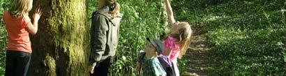 Här bör finnas både lättillgängliga miljöer och områden som får utvecklas fritt med exempelvis kullfallna träd och hålträd där intressanta