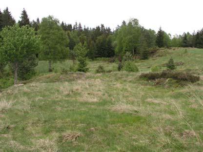 64 Erikslund Ohävdad hagmark Norr om vägen ligger ett kuperat område med några kullar med berg i dagen. Runt kullarna finns en varierad vegetation med torräng, friskäng, fuktäng och gamla åkerlappar.
