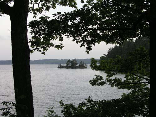 81b Nedflo Strandskog och strand vid Västra Nedsjön (3,7 ha) En strandskog på som är självföryngrad på tidigare ängsmark och betesmark.