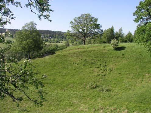 Den södra delen av sträckan är mycket svårtillgänglig och har lämnats orörd sedan en längre tid. Här finns bl a grövre klibbal och gott om lövlågor av olika ålder.