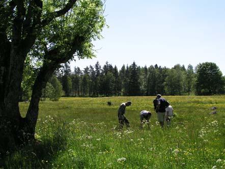 Man kan inte annat än bli ödmjuk när man betraktar det obegripliga som hänt på jorden. Från ett gasmoln uppstod stjärnor och planeter.