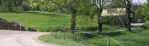 Rester av döda klibbalar och socklar står i detta område. Klass 4, vissa naturvärden Sumpskog med bl a senvuxna granar ger naturvärden.