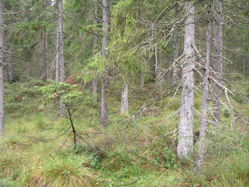 96a Vikhult Odlingslandskap (20 ha) Vackert odlingslandskap i den ostvända sluttningen mot Viaredssjön Området är ej besökt och klassningen grundar sig på bevarandeplan för odlingslandskapet.