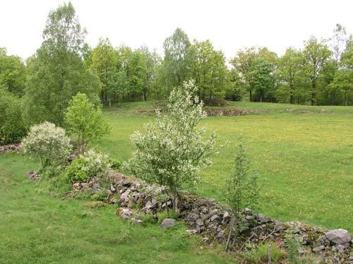 96c Hultafors Nordbrant och källmiljö (0,4 ha) En storblockig och svårtillgänglig nordbrant vänder sig mot den västligaste spetsen av Viaredssjön.