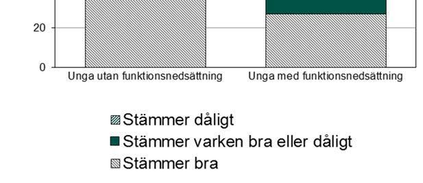 47 procent av tjejerna och 45 procent av killarna tycker att elevrådet tas på allvar och lyssnas på av personalen i skolan.