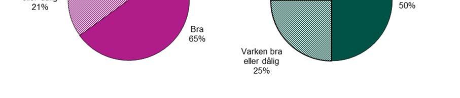 Vad tycker du om möjligheten att få hjälp och stöd när du behöver det? (LUPP) Vi ser ingen stor skillnad mellan hur unga i de olika kommundelarna har svarat på frågan.