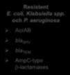 Evolution av gramnegativ resistens Känsliga Gram-negativa patogener 1960-talet Ampicillin Resistent Escherichia coli TEM SHV serine -lactamases 1980-talet Resistent E.