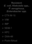 CTX-M-15 VIM IMP NDM-1 KPC OXA-48 Porin-förlust 1990-2000-talet Karbapenemer 1. Hawkey. Antimicrob Chemother. 2008;62:i1-9. 2 Hawkey and Jones. J Antimicrob Chemother.