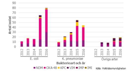 ESBL CARBA i Sverige Inhemsk smittspridning 2016?